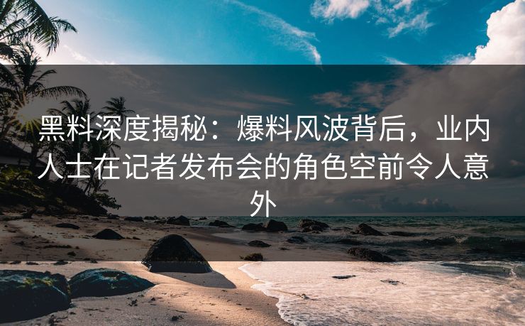黑料深度揭秘：爆料风波背后，业内人士在记者发布会的角色空前令人意外
