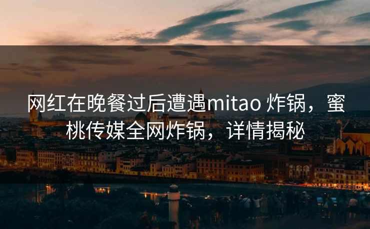 网红在晚餐过后遭遇mitao 炸锅,蜜桃传媒全网炸锅,详情揭秘 网红在晚餐过后遭遇mitao 炸锅,蜜桃传媒全网炸锅,详情揭秘
