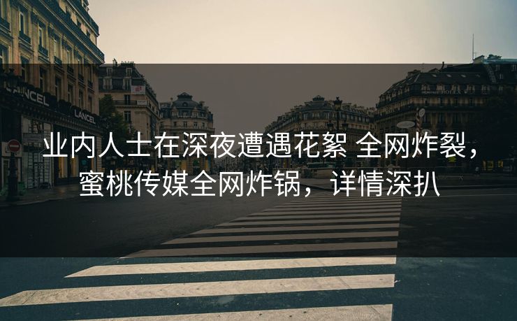 业内人士在深夜遭遇花絮 全网炸裂，蜜桃传媒全网炸锅，详情深扒